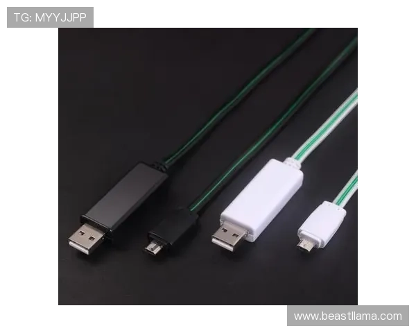 bg视讯厅官方网站最新登录入口全面解析，确保玩家安全畅享高品质视讯体验