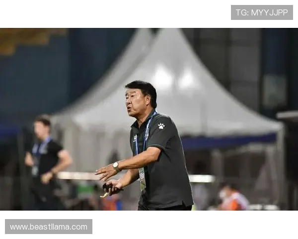 凯发真人app常见故障排查与技术支持快速解决方案